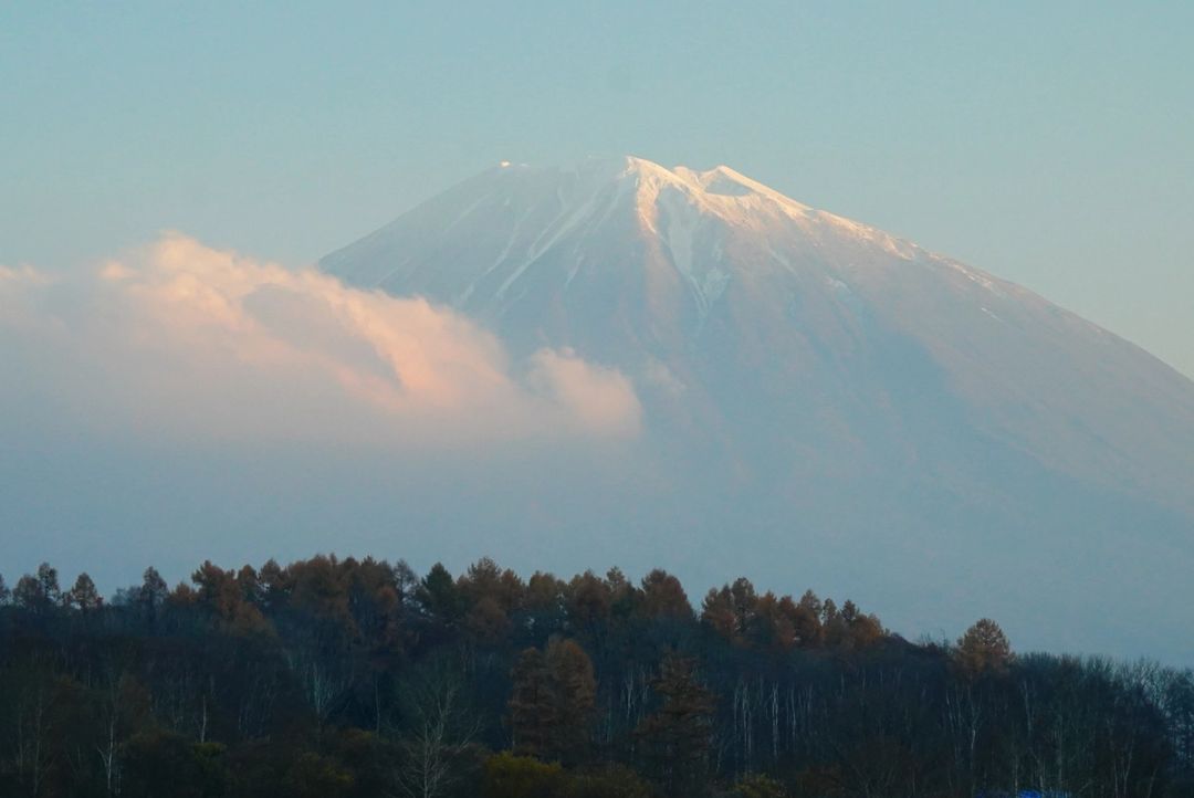 Autumn Summit