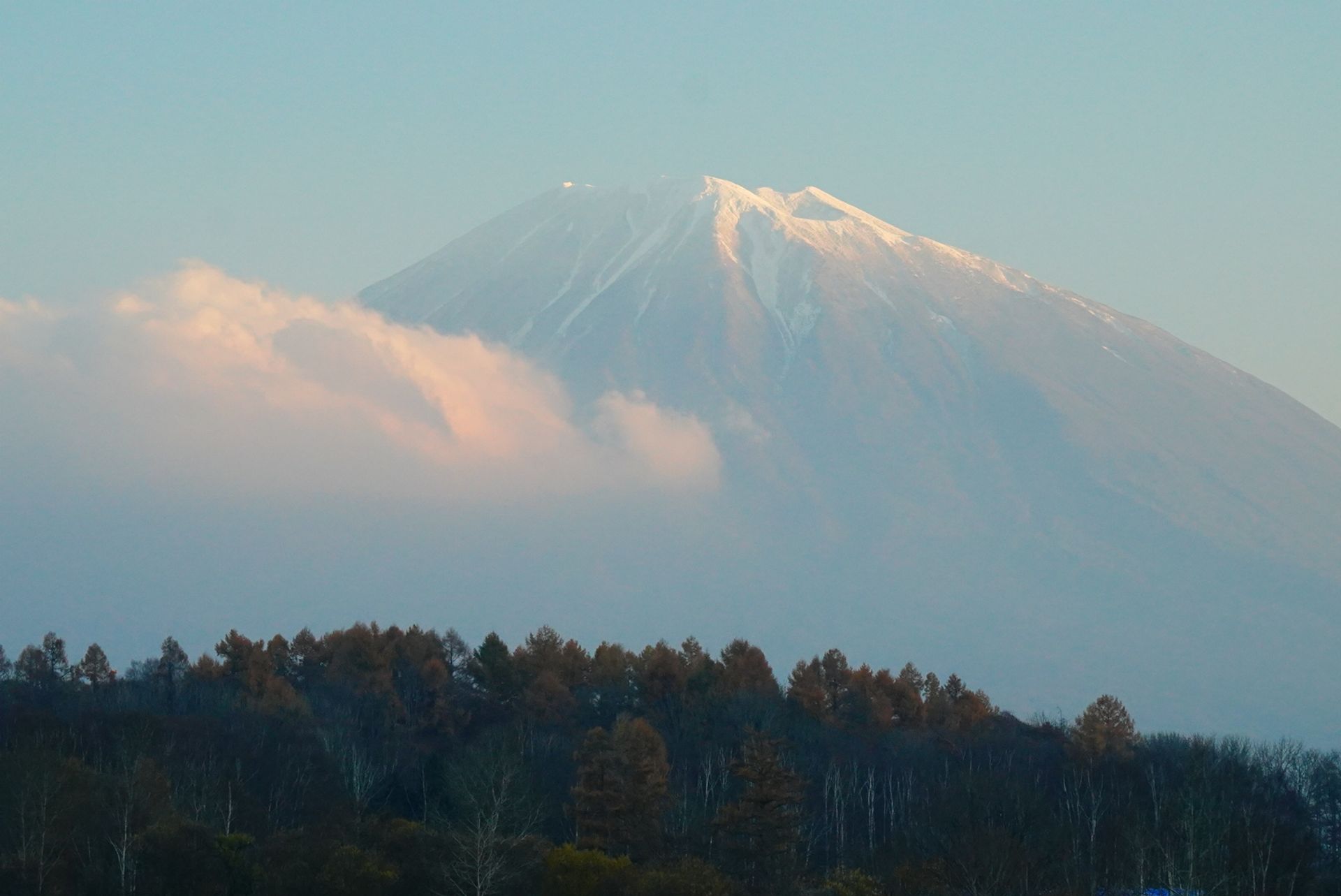 Autumn Summit