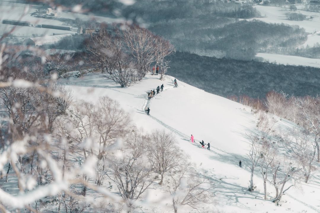 Powder Trail