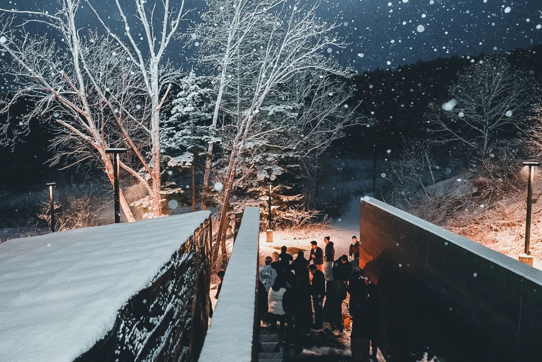 Winter Footbridge