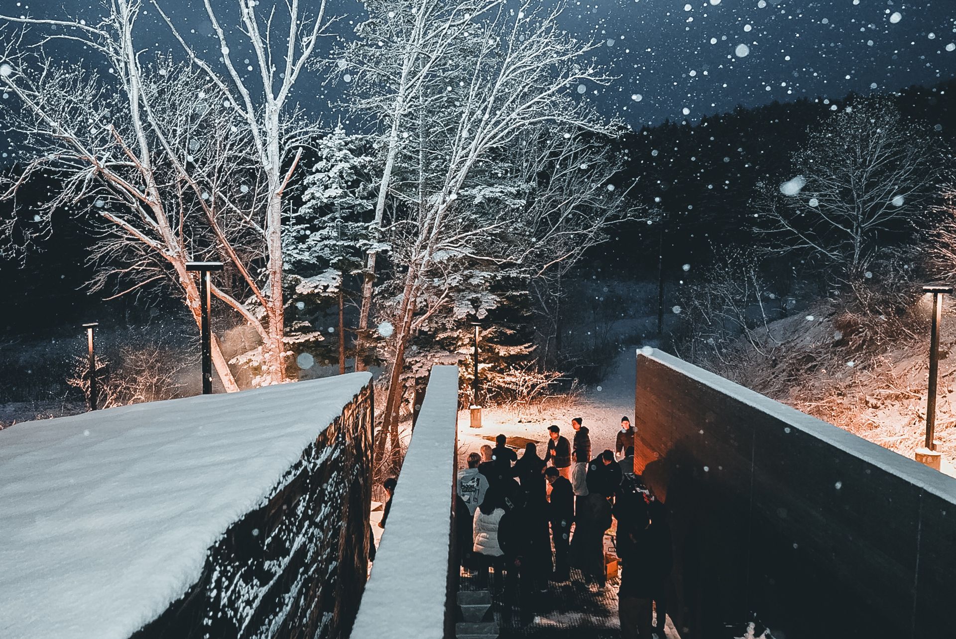 Winter Footbridge