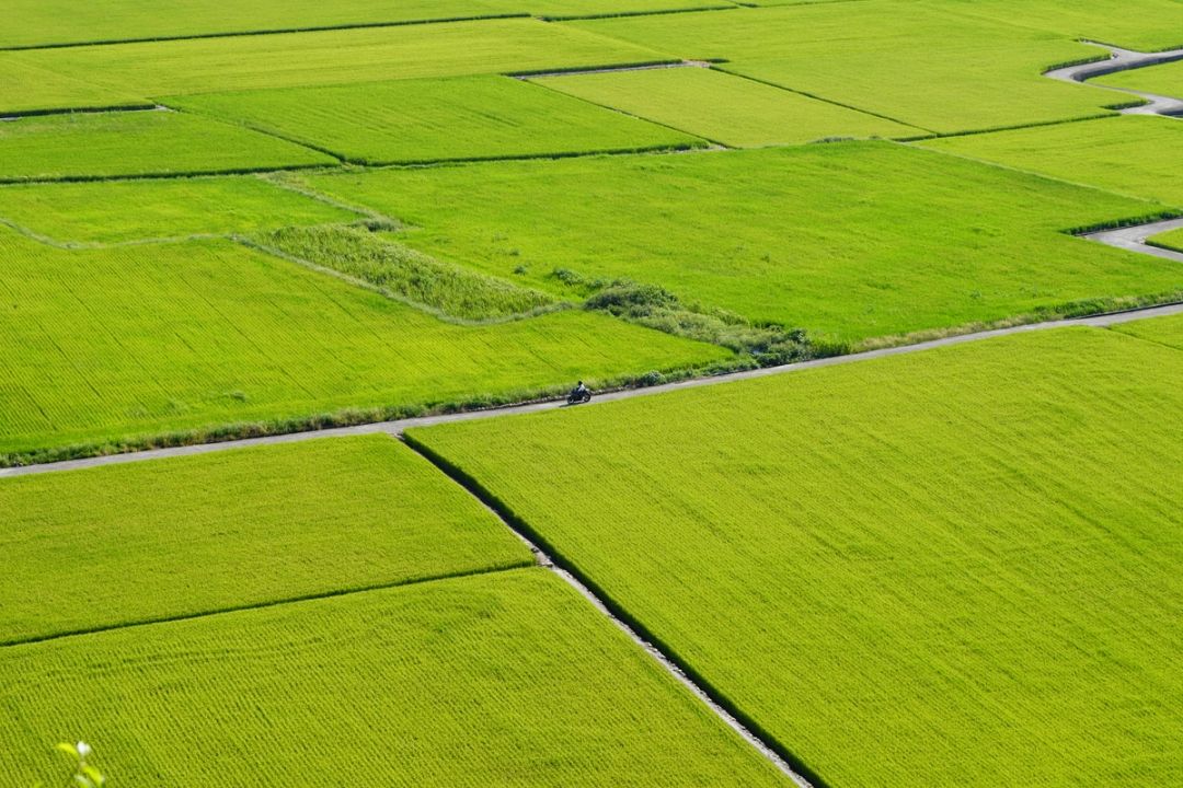 Patchwork Fields
