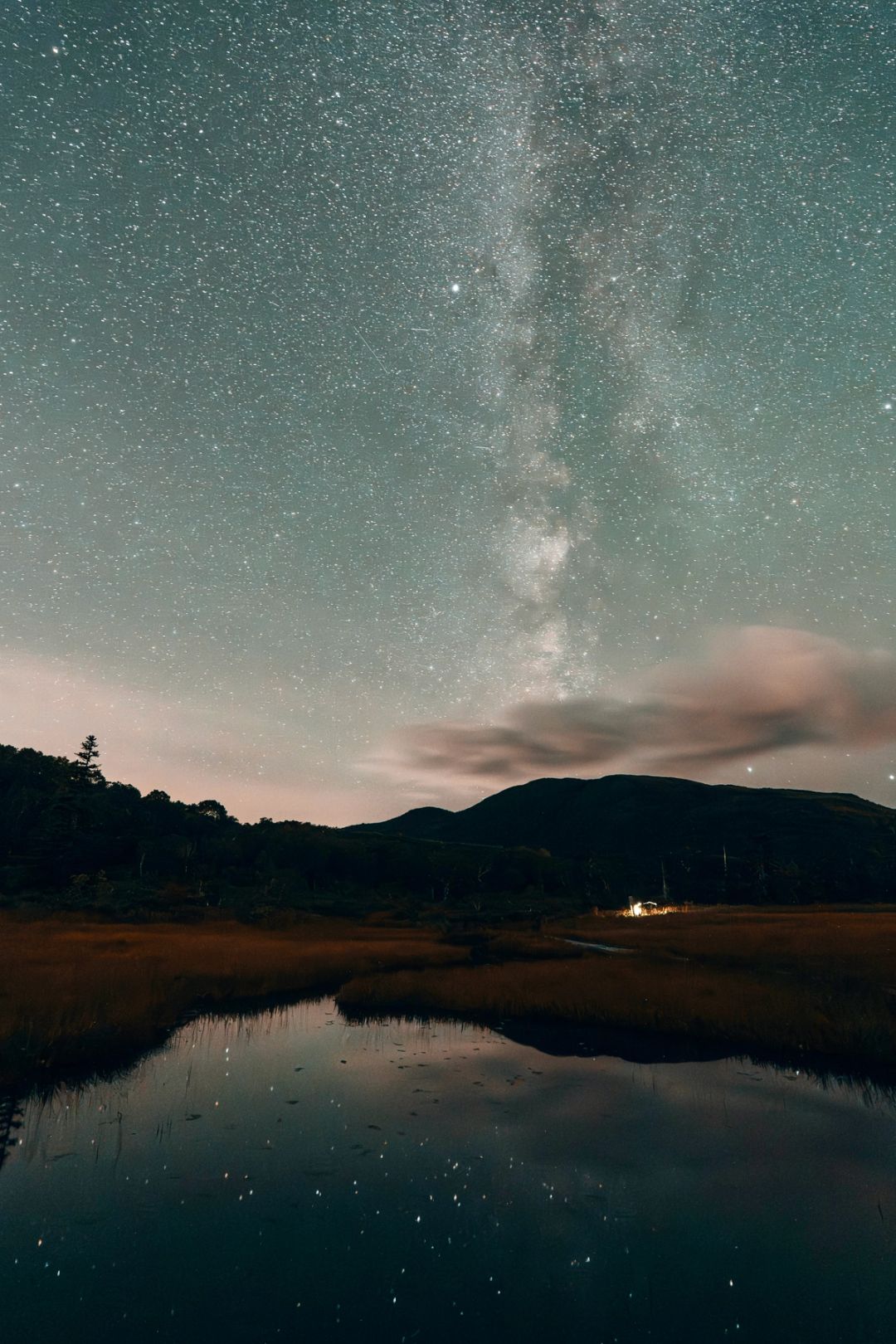 Light in the Marsh