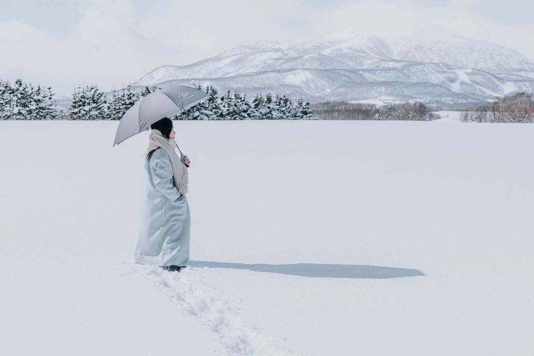 Snowfield Silence