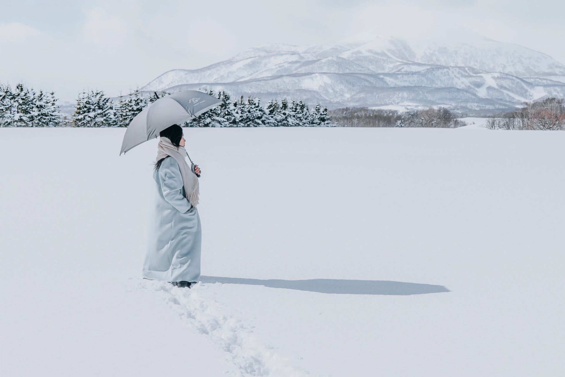 Snowfield Silence