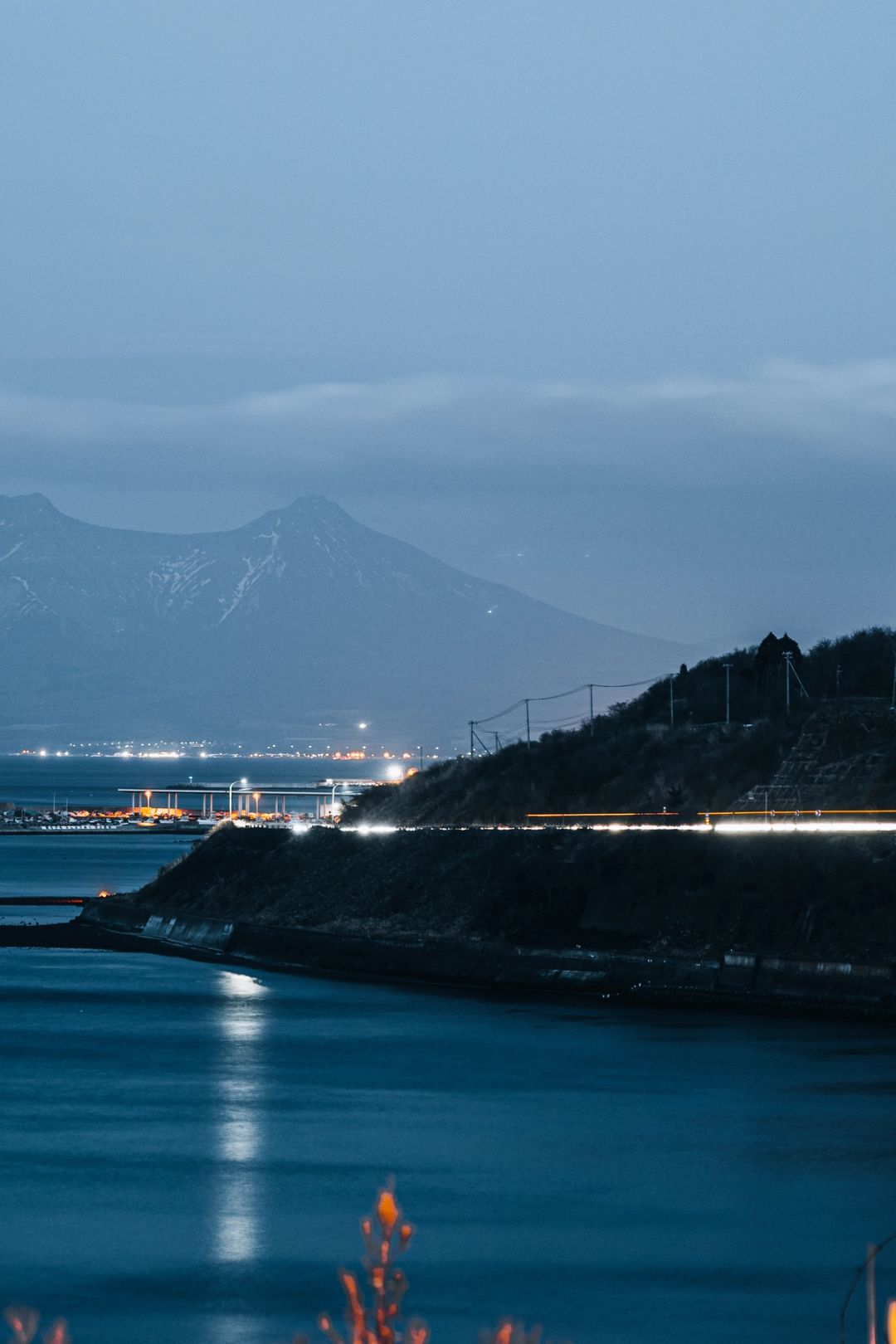 Harbor Light Trails