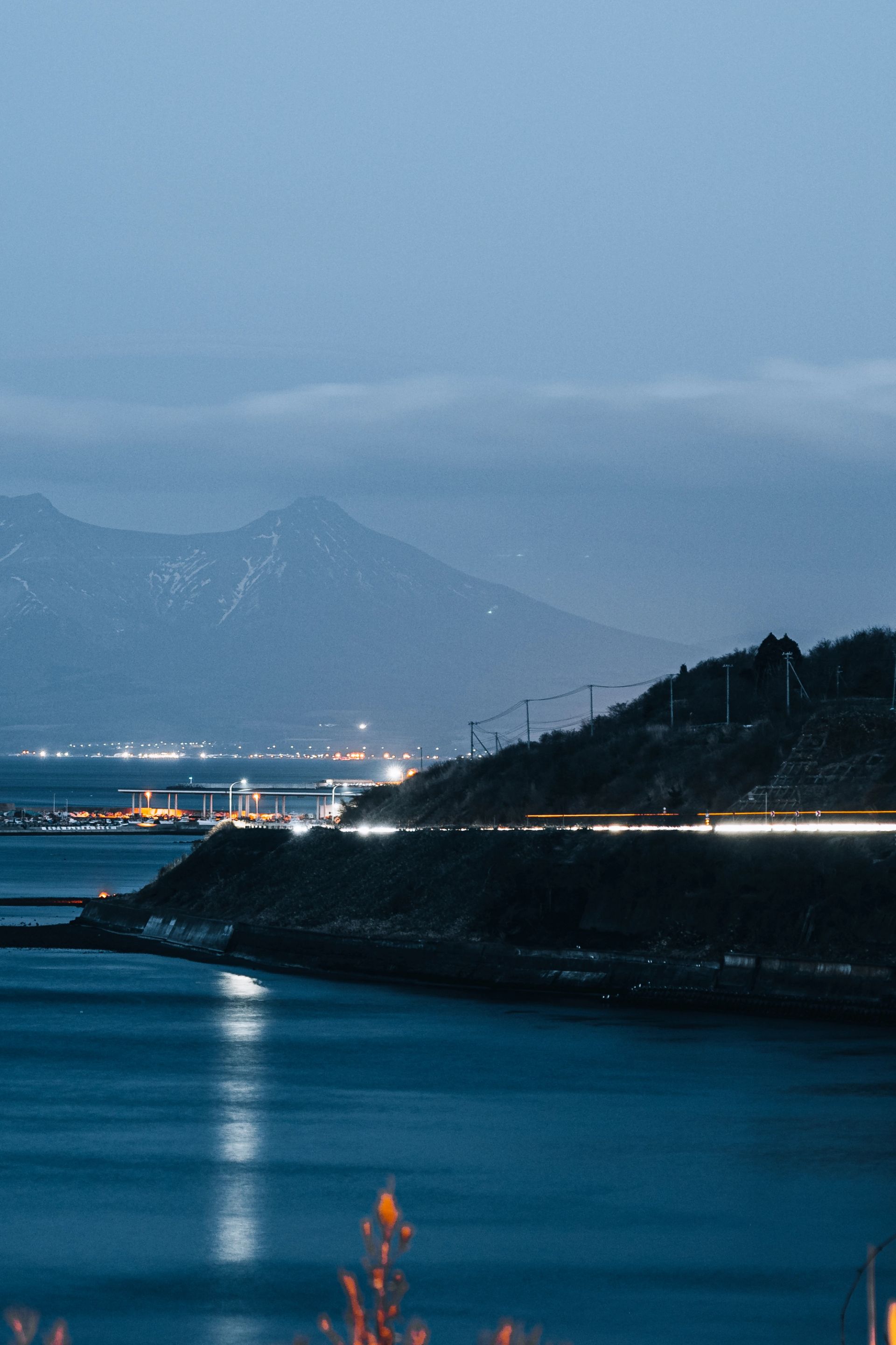 Harbor Light Trails