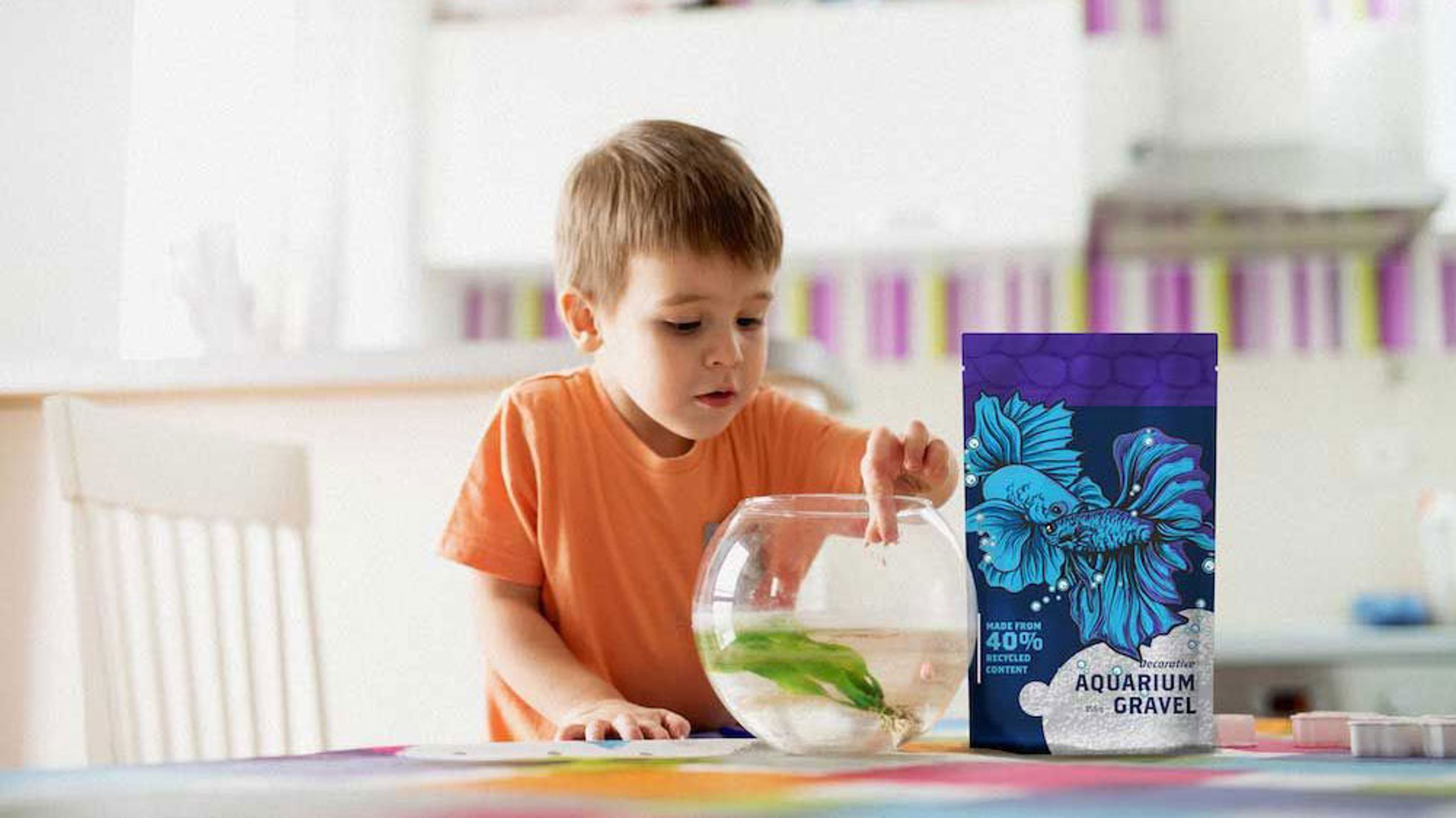 Child observing fish in bowl