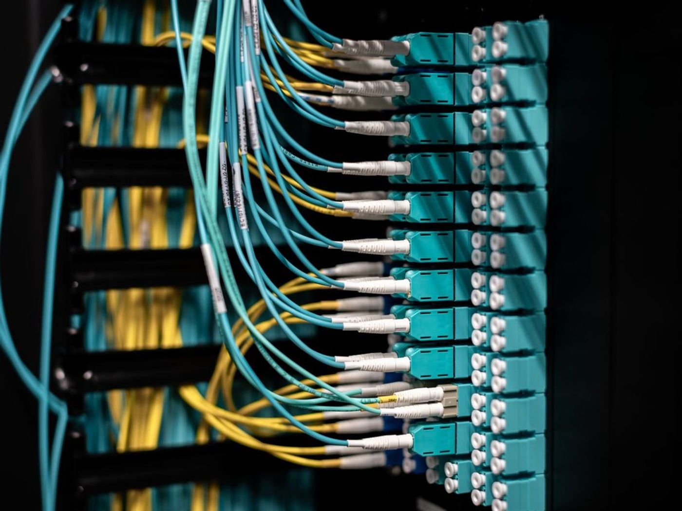 Fibre patch cables connected in a network rack