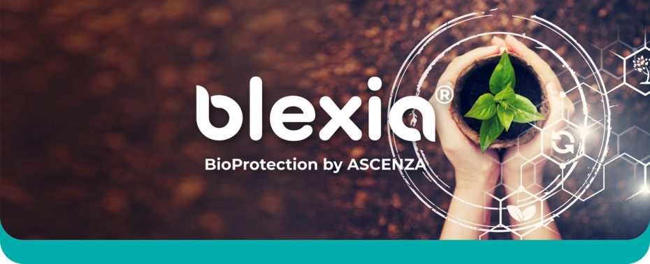 BLEXIA_WebsiteBanner_1920x780_PD_v05.png