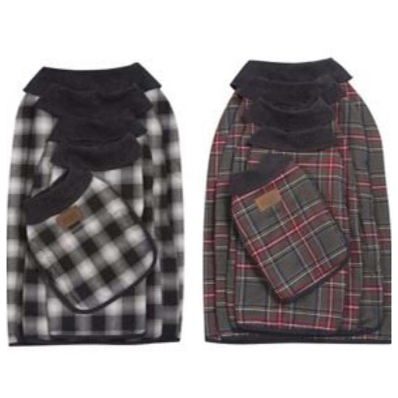 The Best Clothes for Boston Terriers