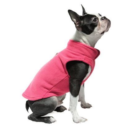Dog coats for clearance boston terriers
