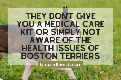 They don't give you a medical care kit or simply not aware of the health issues of Boston Terriers