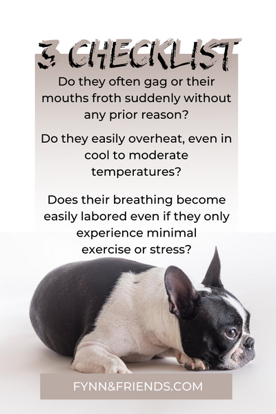 3 checklist: Do they often gag or their mouths froth suddenly without any prior reason? Do they easily overheat, even in cool to moderate temperatures? Does their breathing become easily labored even if they only experience minimal exercise or stress?