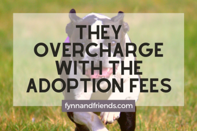 They overcharge with the adoption fees