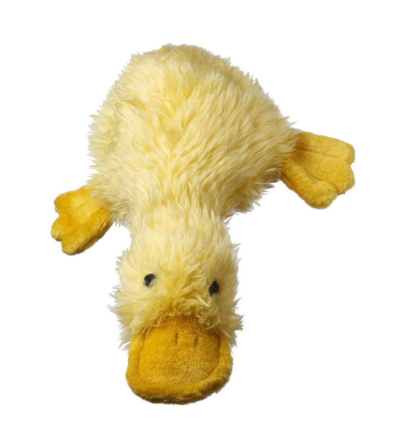 The Best Toys for Your Adorable Boston Terrier