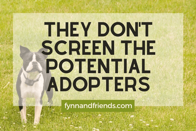 They don't screen the potential adopters