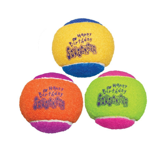 The Best Toys for Your Adorable Boston Terrier