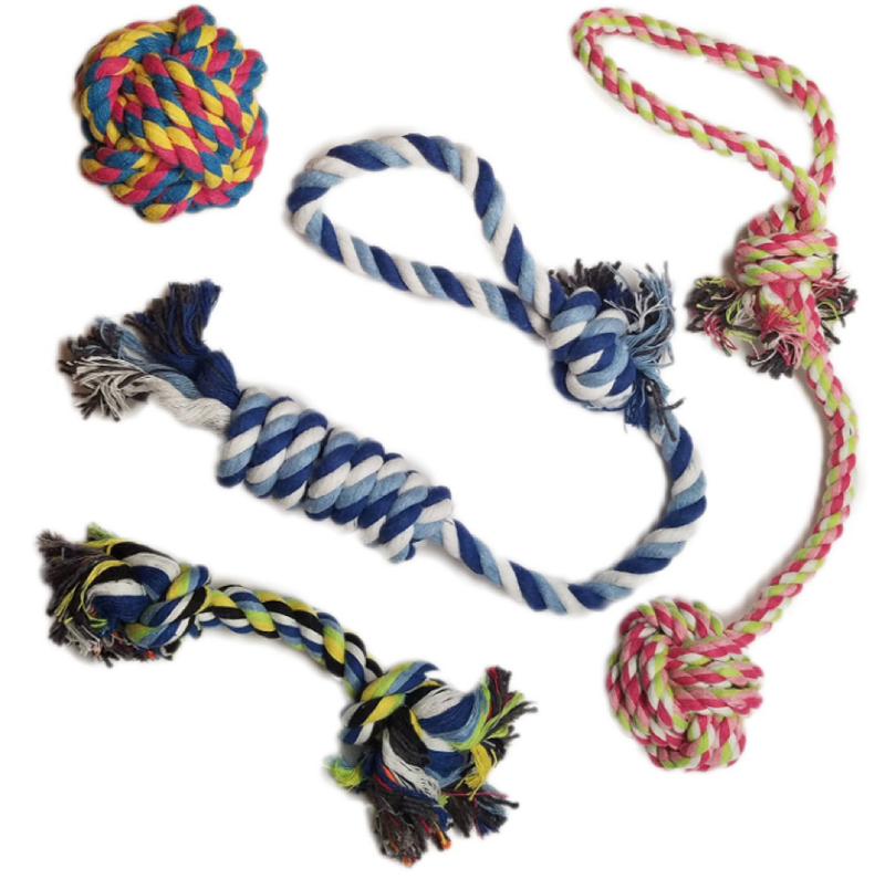 The Best Toys for Your Adorable Boston Terrier