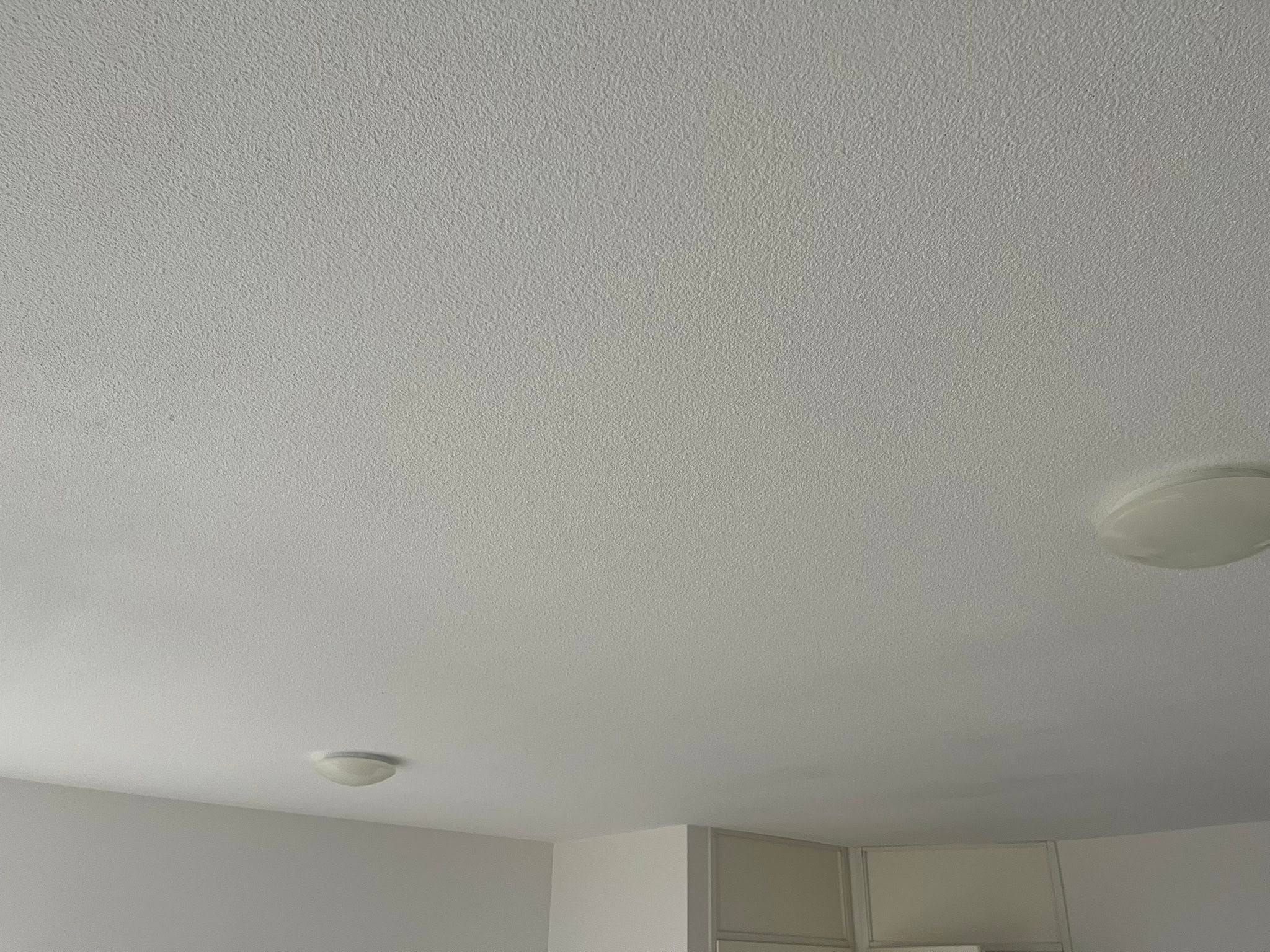 Fris plafond na sauswerk