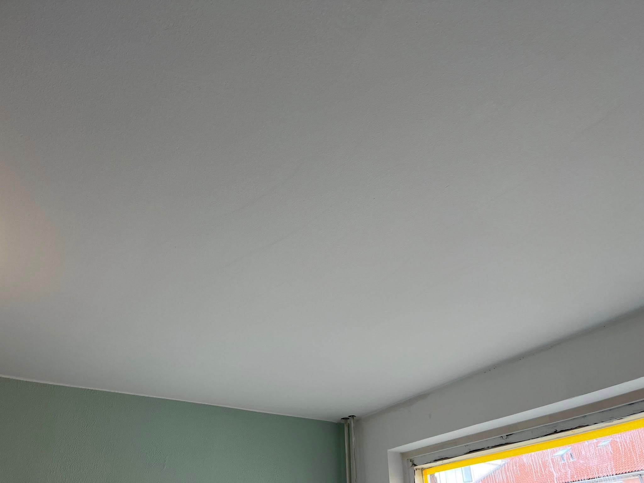 Schilder- en sauswerk woning