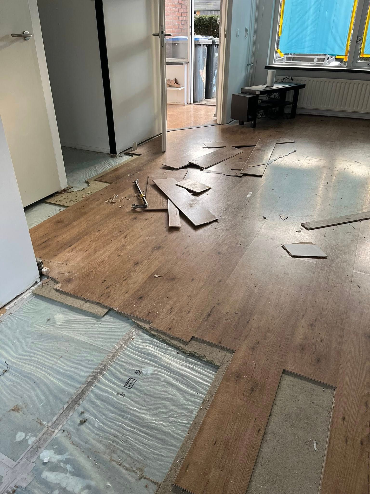 Schilder- en sauswerk woning