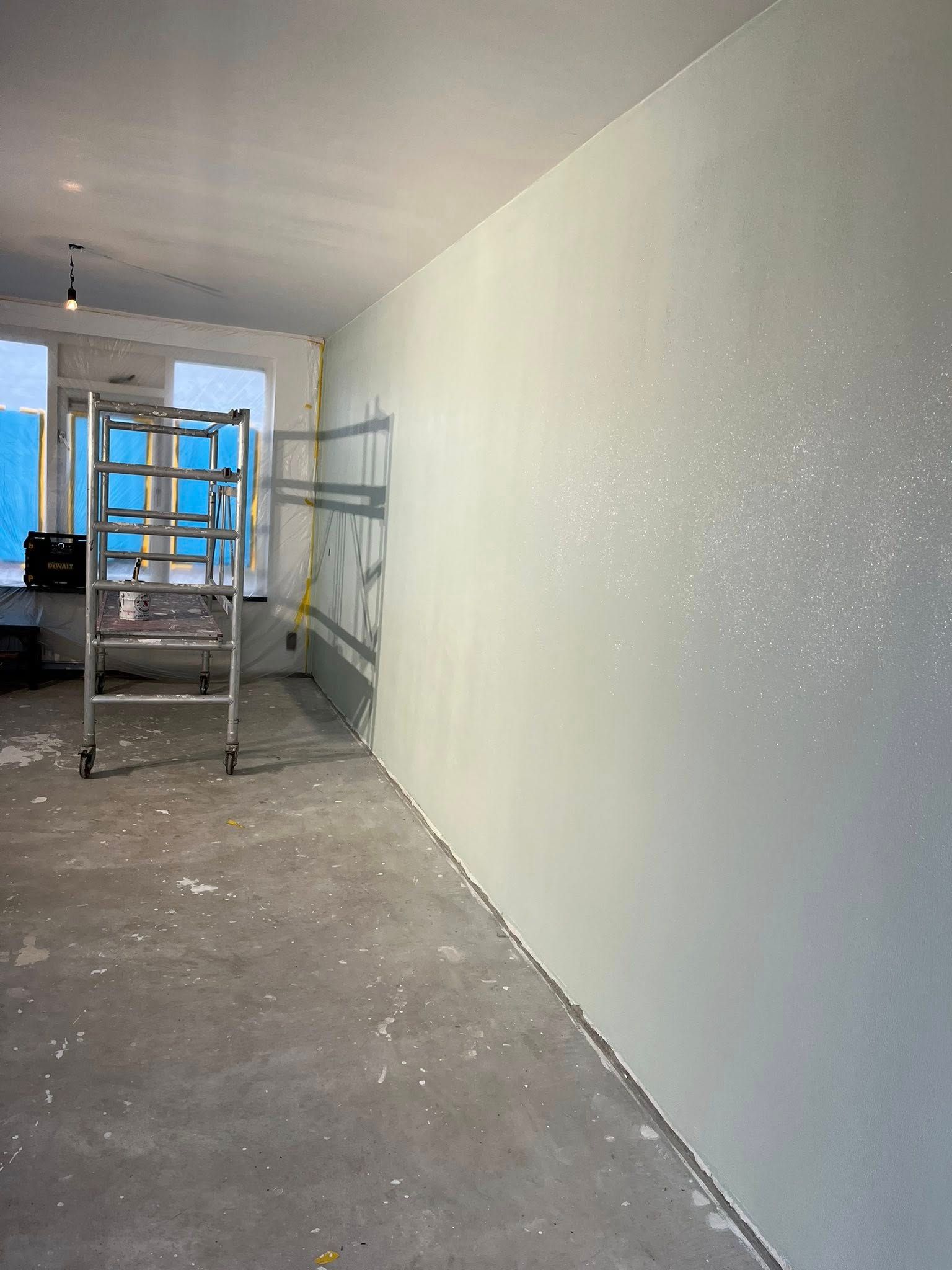 Schilder- en sauswerk woning