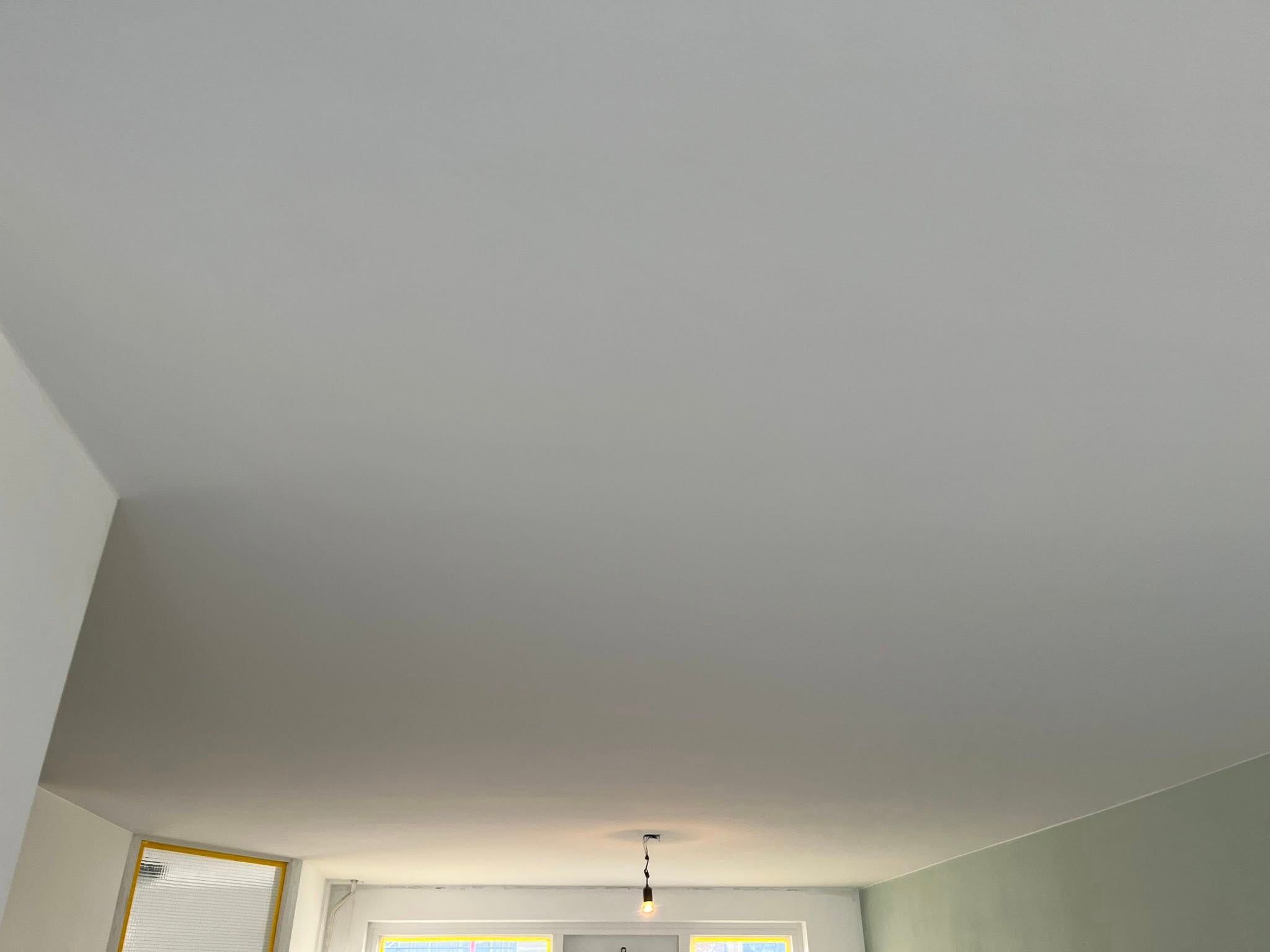 Schilder- en sauswerk woning