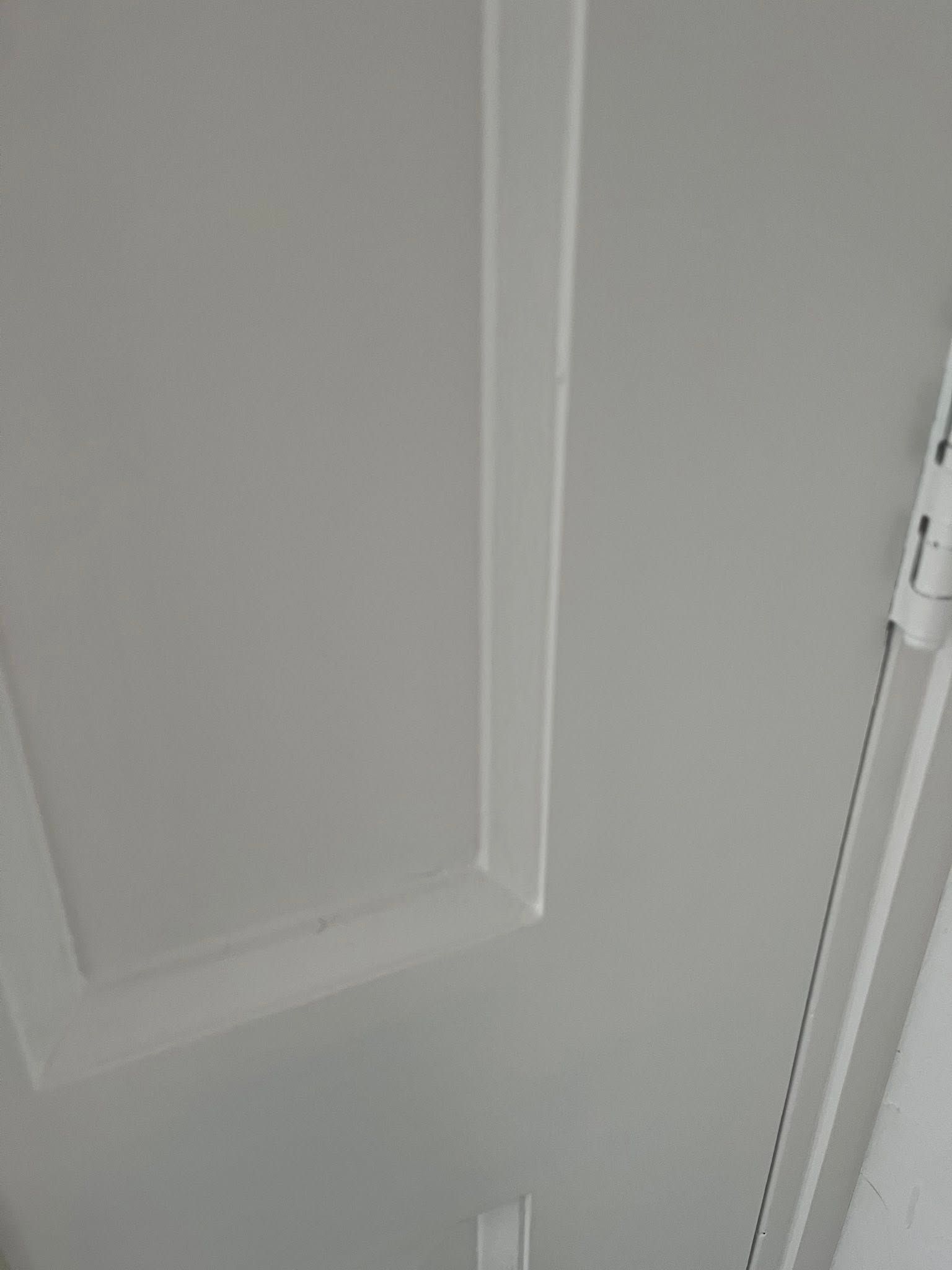 Schilder- en sauswerk woning