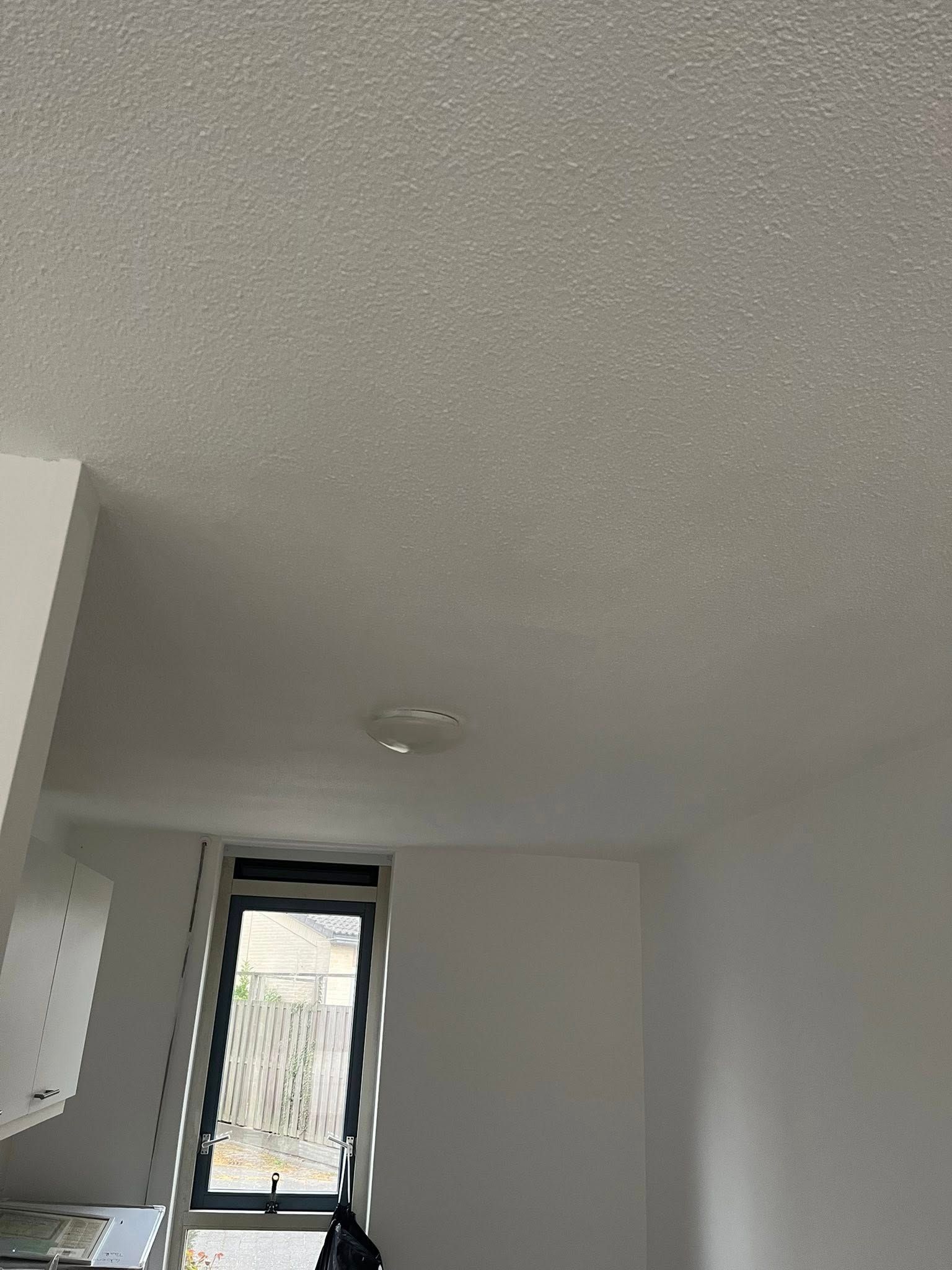 Fris plafond na sauswerk