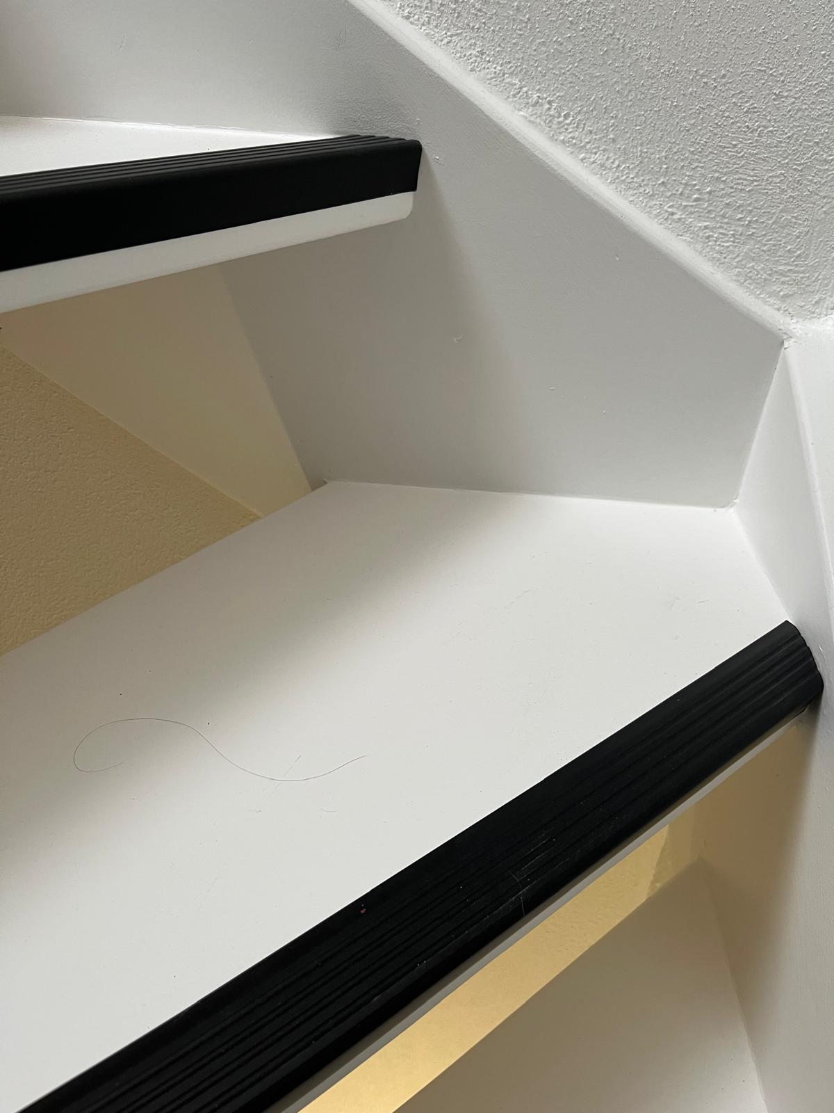 Complete binnen transformatie