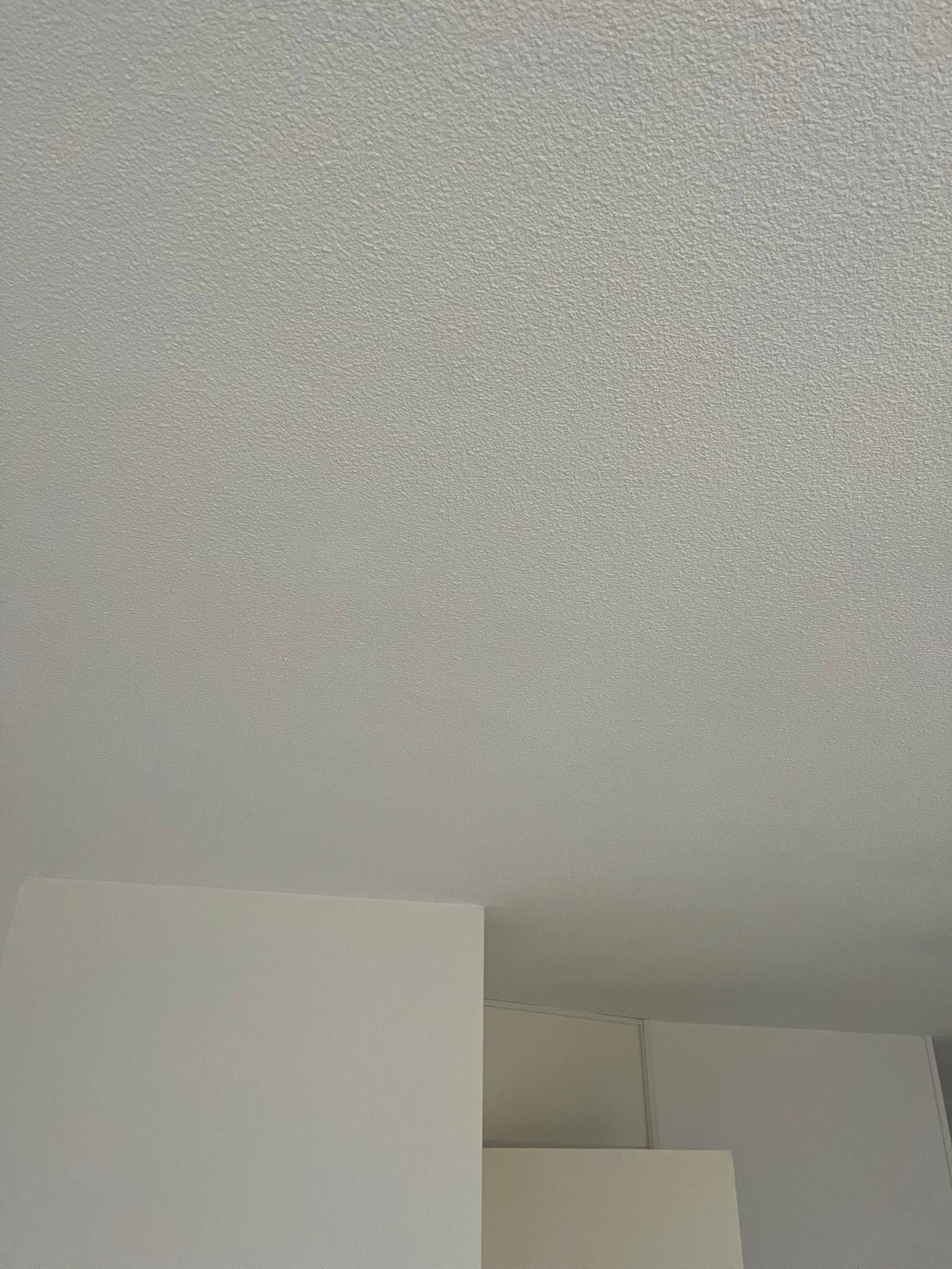 Fris plafond na sauswerk