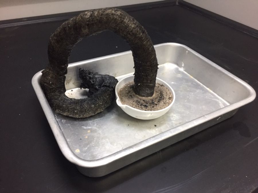 Gyvatės magija. Nitro anilino polimerizacija