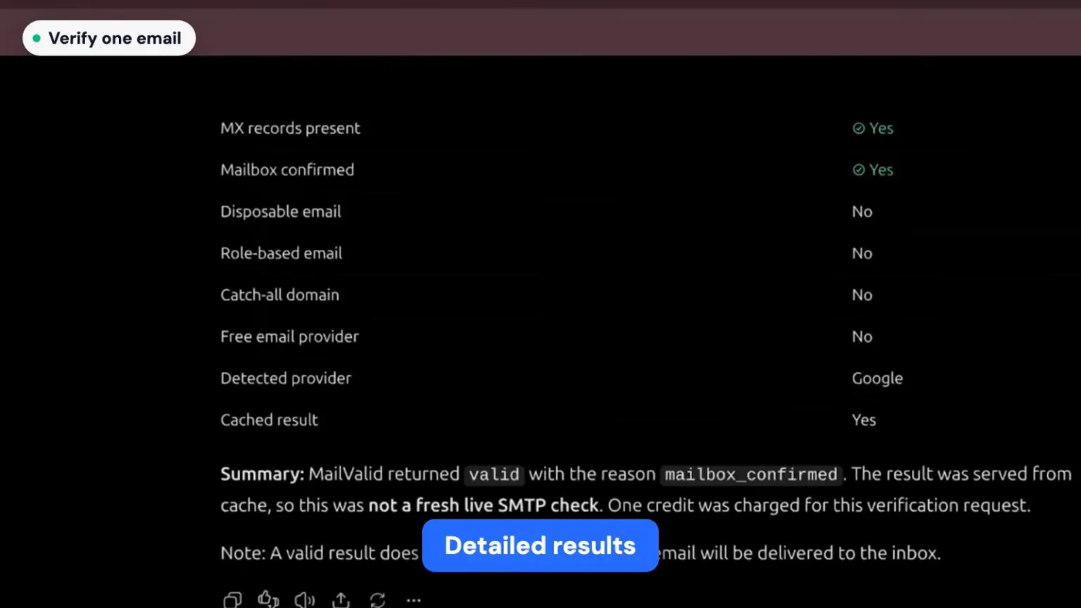 Detailed single email verification result in ChatGPT