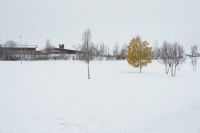 Ddd, shot in Kiruna, Sweden, by Anton Renborg