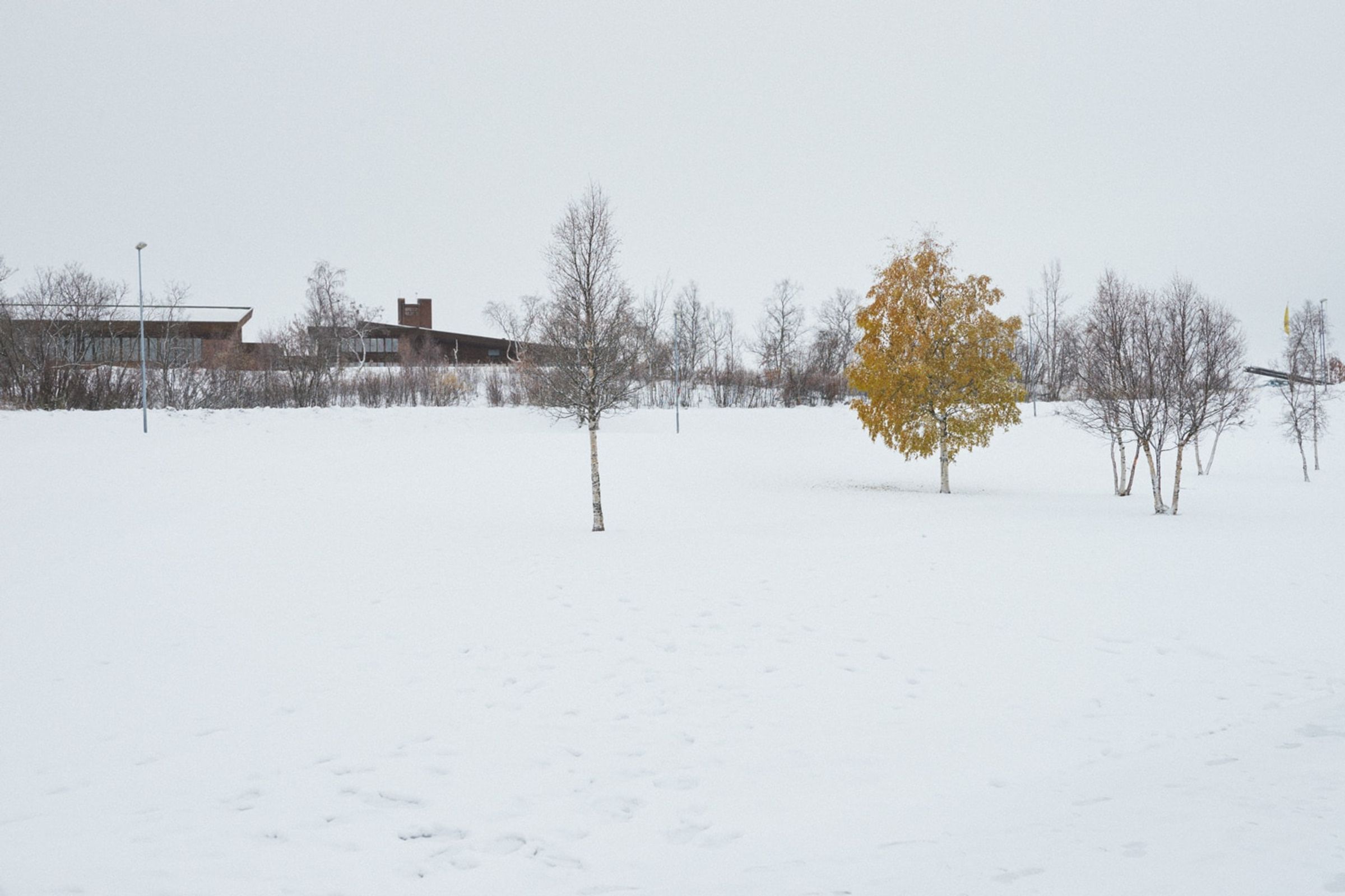 Ddd, shot in Kiruna, Sweden, by Anton Renborg