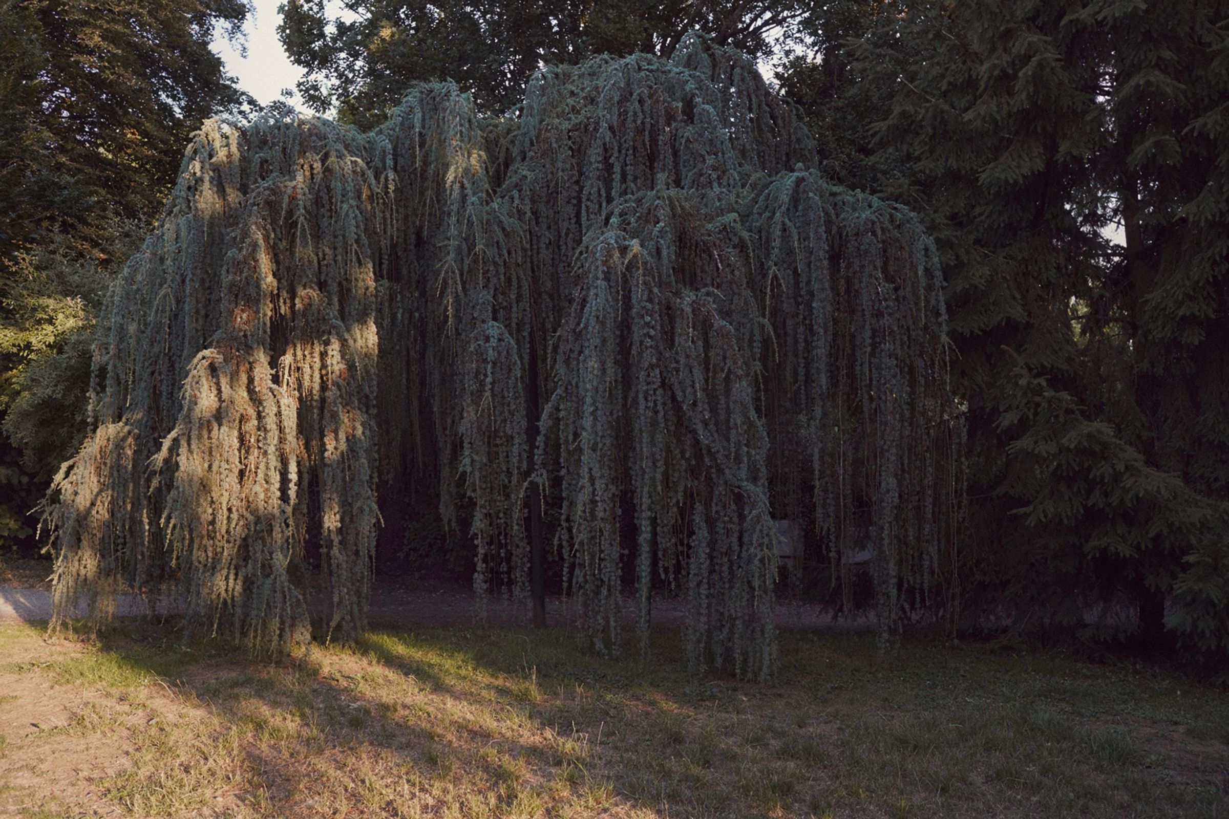 Daysinvichy, carte blanche - Portrait(S) festival for ArtPhotoProjects, shot in Vichy, France, by Anton Renborg