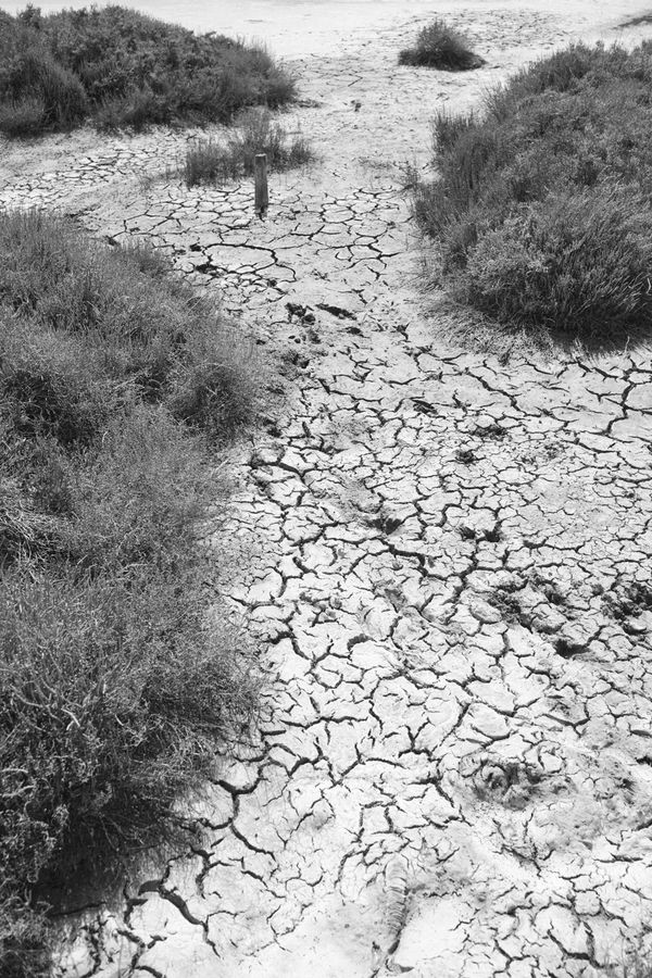 Sublimer L´Absence
