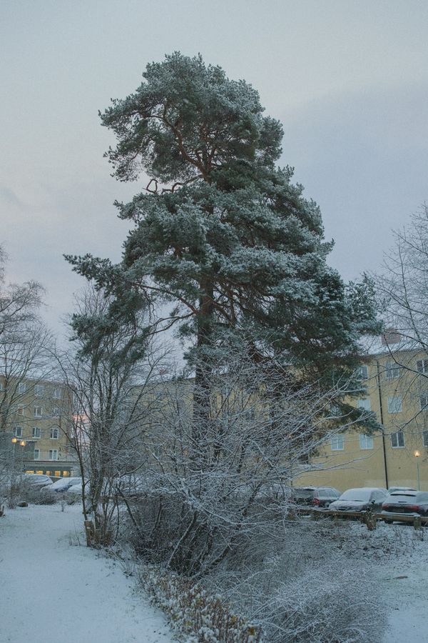 Stockholm in Winter for Personal, shot in Stockholm, Sweden, by Anton Renborg