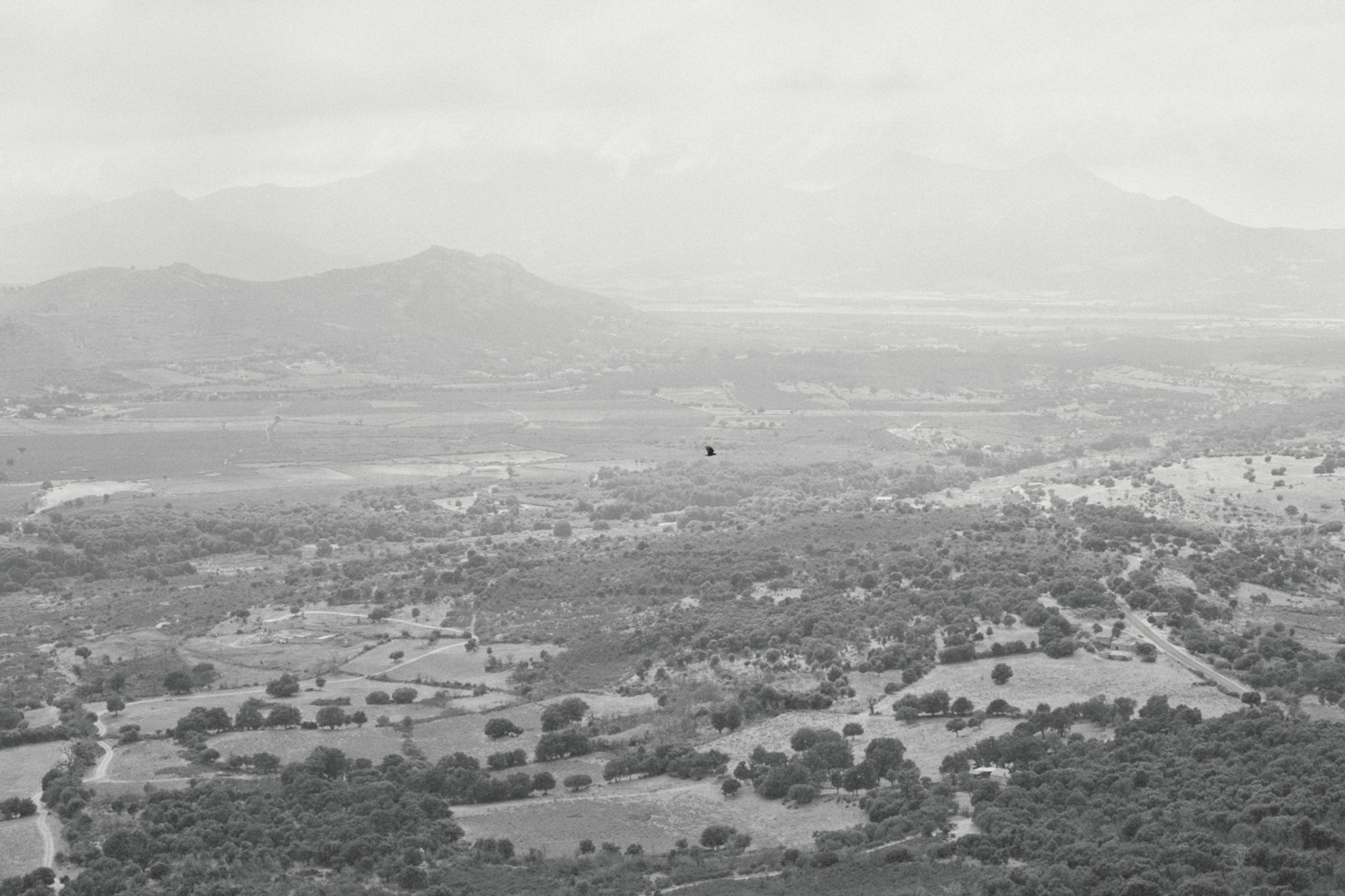Notices de la Corse for Personal, shot in Corsica, France, by Anton Renborg