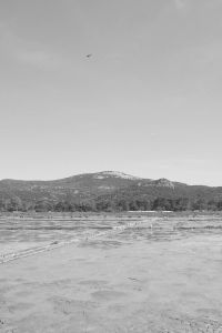 Sublimer L´Absence