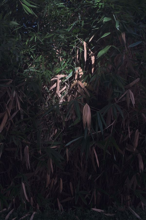 Daysinvichy, carte blanche - Portrait(S) festival for ArtPhotoProjects, shot in Vichy, France, by Anton Renborg