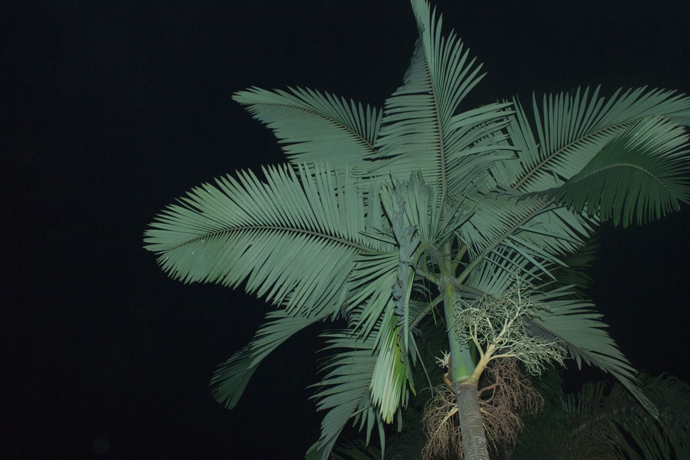 Abidjan Outlines for Personal, shot in Abidjan, Ivory Coast, West Africa, by Anton Renborg