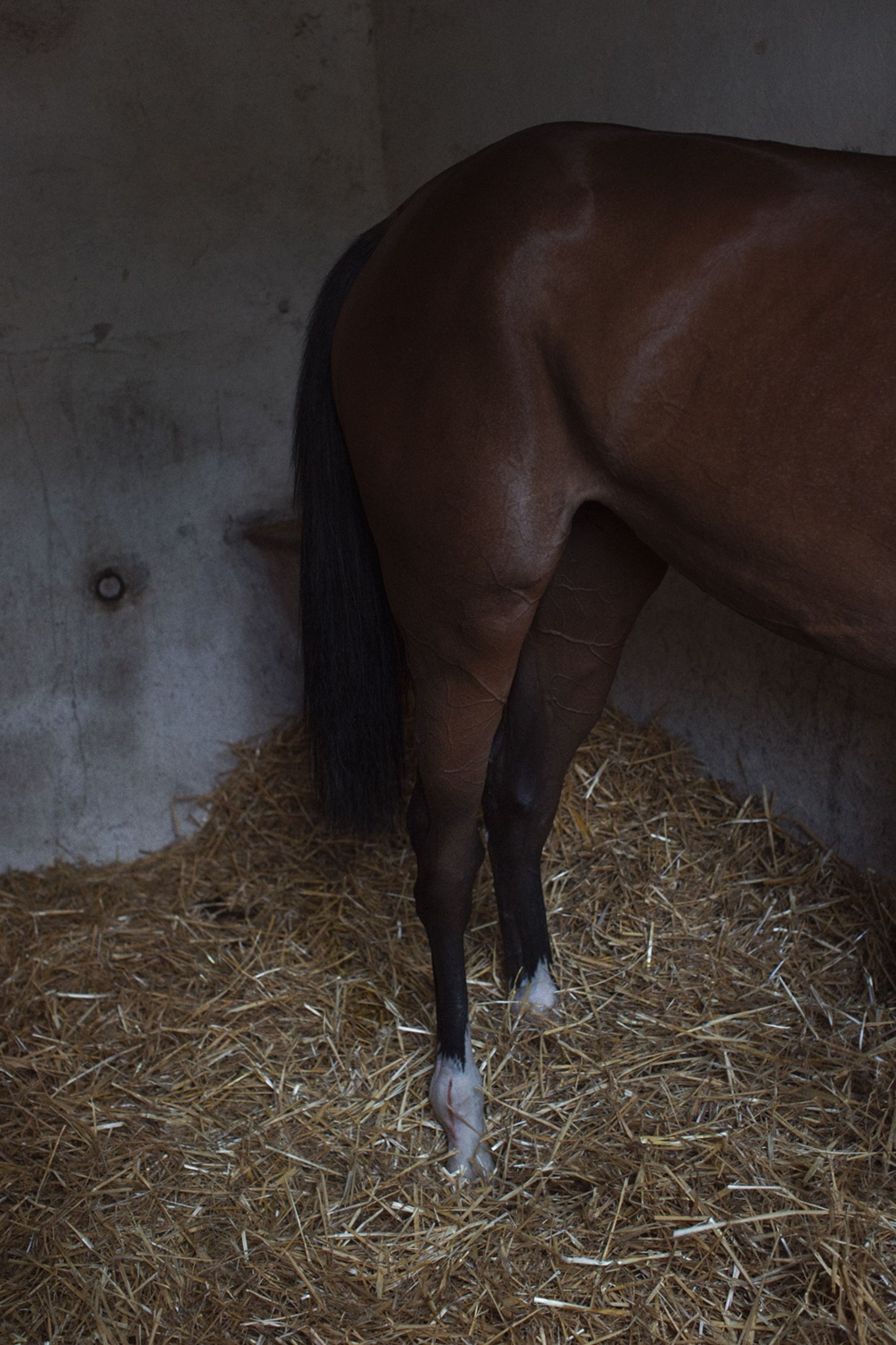 Daysinvichy