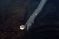 Moonmilk for Stora Skuggan, shot in Bovalstrand, Sweden, by Anton Renborg