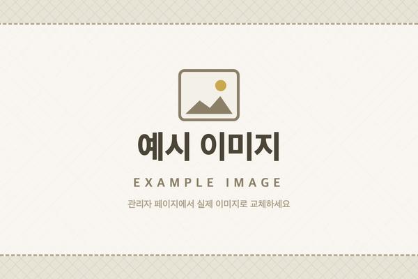 예시 언론보도 1