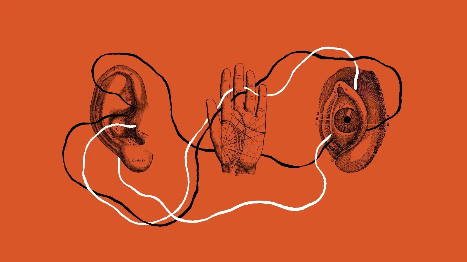 Ear, hand, and eye connected by flowing lines