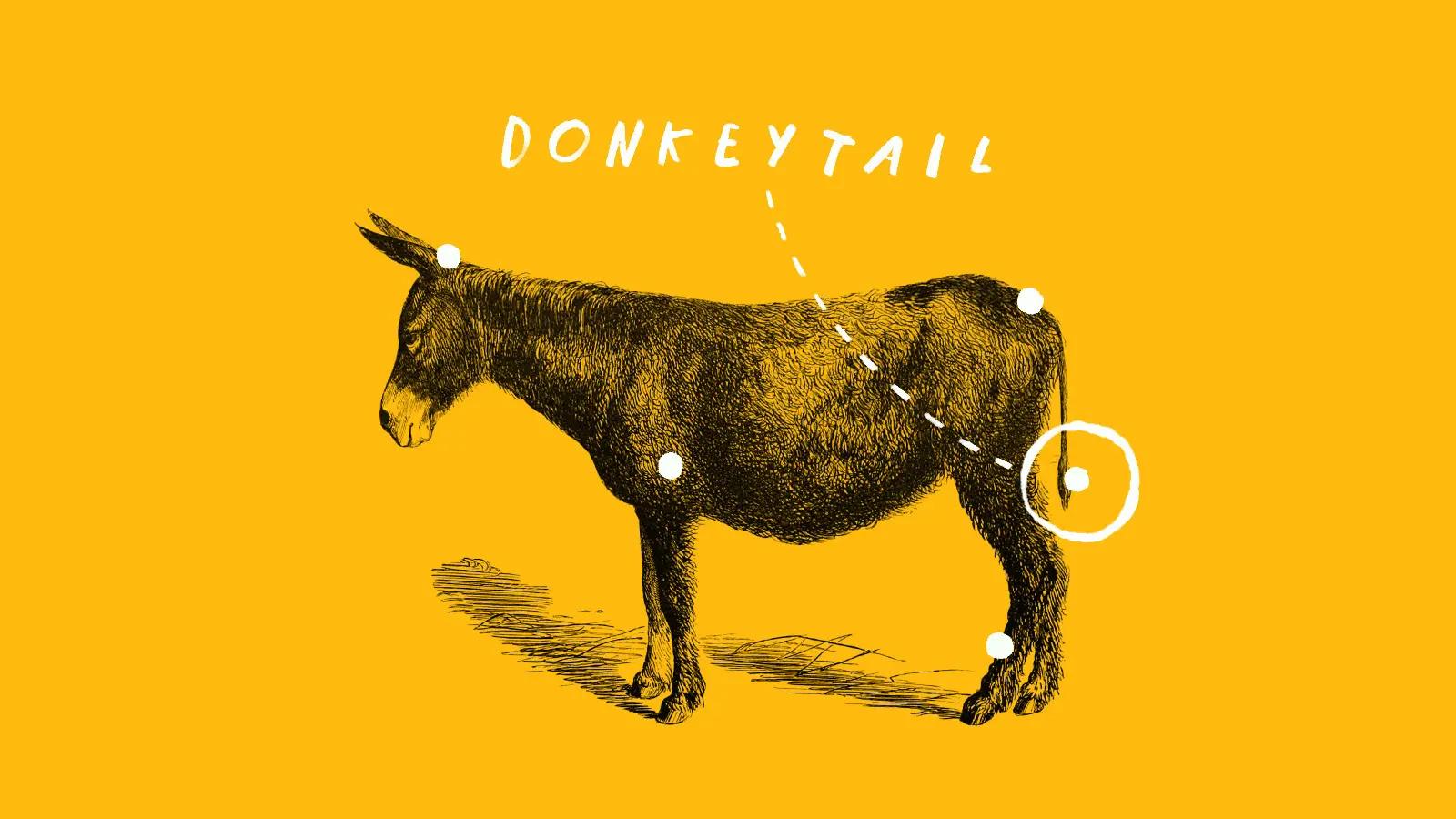 Illustration of donkey with Donkeytail text and pin markers