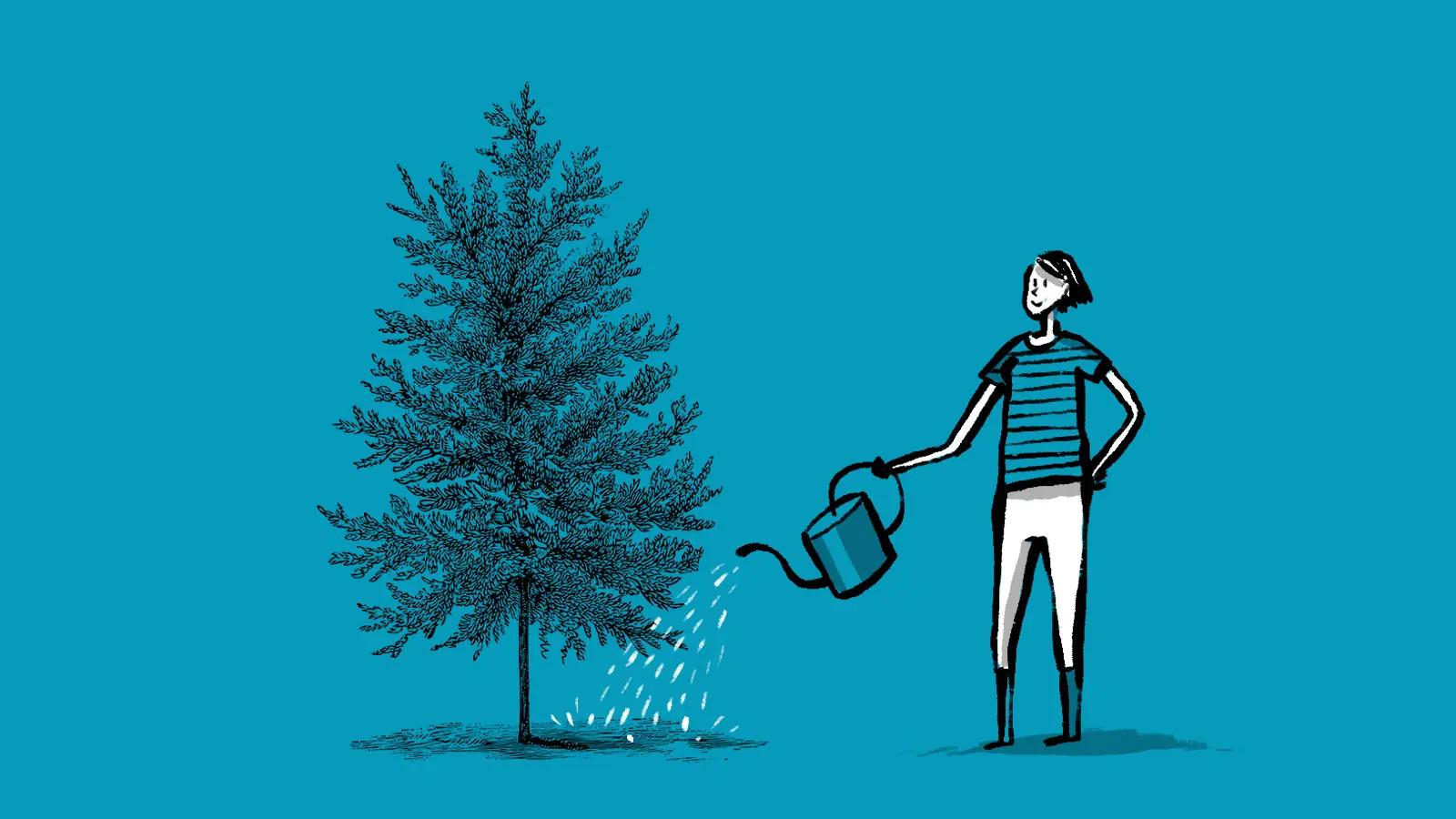 Person watering growing tree with watering can