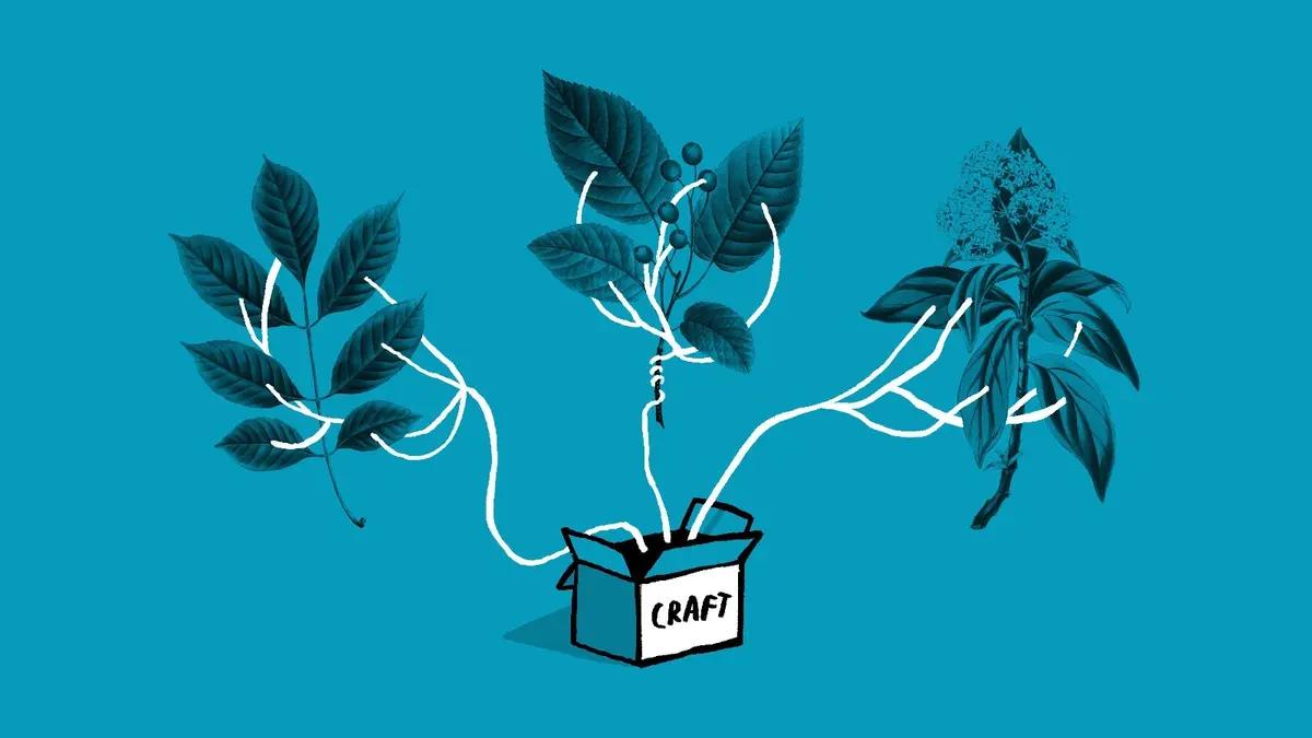 Illustration of different plants growing from a box labelled 'Craft'